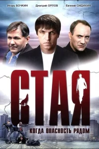 Стая 